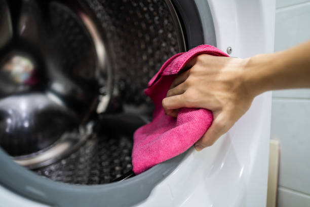 Best Mold Odor Removal Services  in Sudden Valley, WA