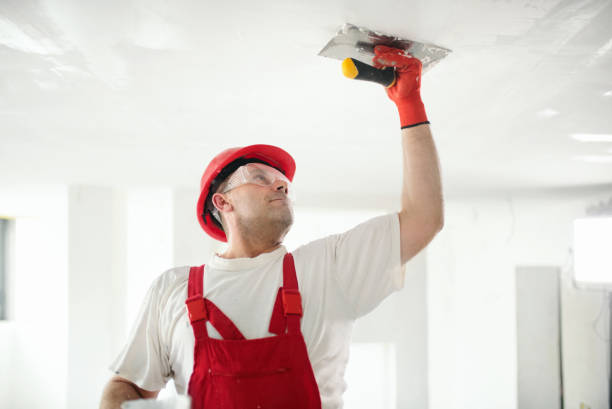 Best Mold Removal for HVAC Installations  in Sudden Valley, WA