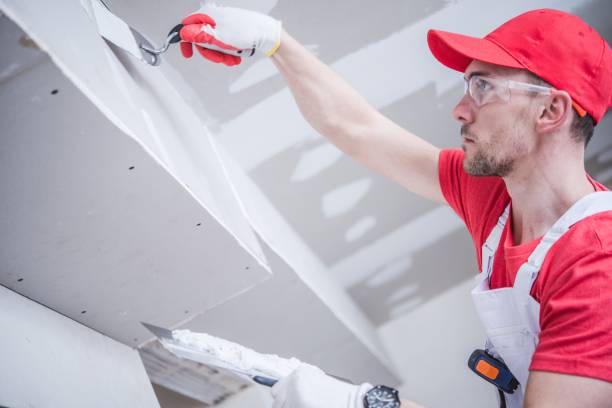Best Attic Mold Removal  in Sudden Valley, WA