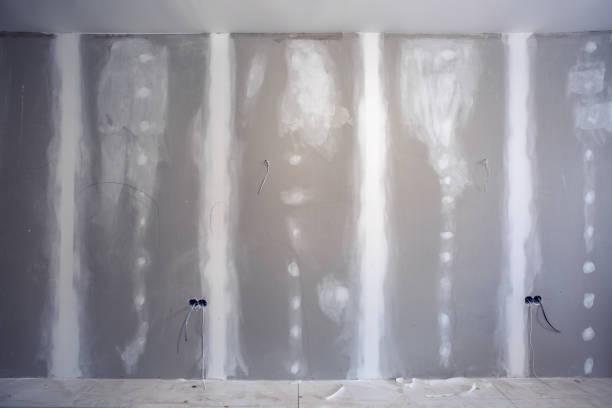 Best Mold Documentation for Insurance Claims  in Sudden Valley, WA